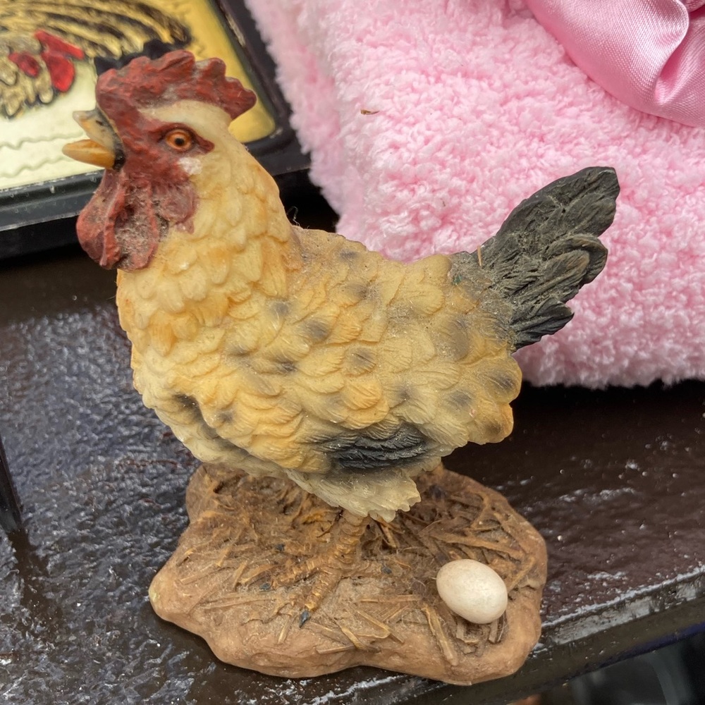 Beautiful standing hen with egg